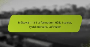 featured-image-maltavla-i-1-3-3-3-formation-halla-i-spelet-fysisk-narvaro-luftrisker