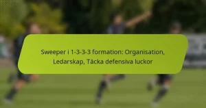 featured-image-sweeper-i-1-3-3-3-formation-organisation-ledarskap-tacka-defensiva-luckor